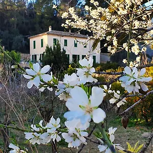 Country house Sa Maniga, Bunyola