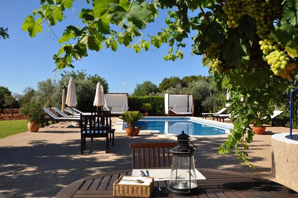 Sa Vinya D'En Palerm Hotel Sant Miquel De Balansat Farm stay
