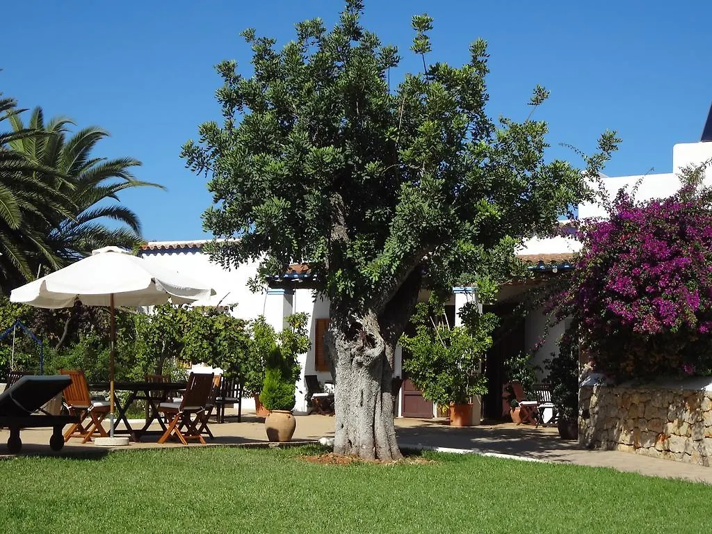 Sa Vinya D'En Palerm Hotel Sant Miquel De Balansat Farm stay