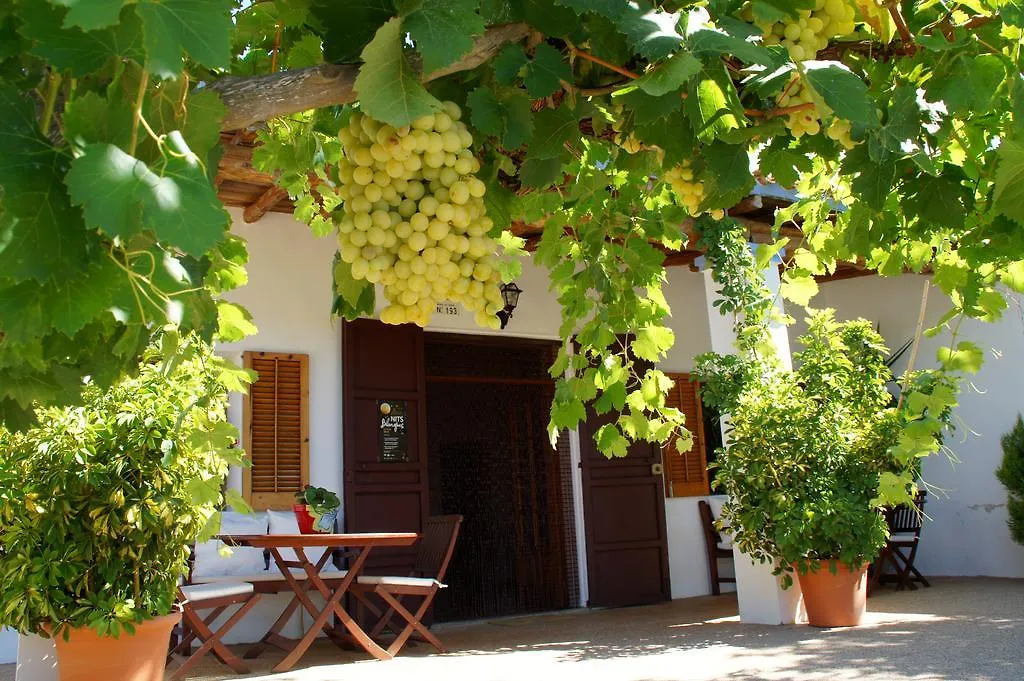 Sa Vinya D'En Palerm Hotel Sant Miquel De Balansat