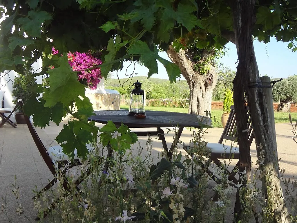 Sa Vinya D'En Palerm Hotel Sant Miquel De Balansat