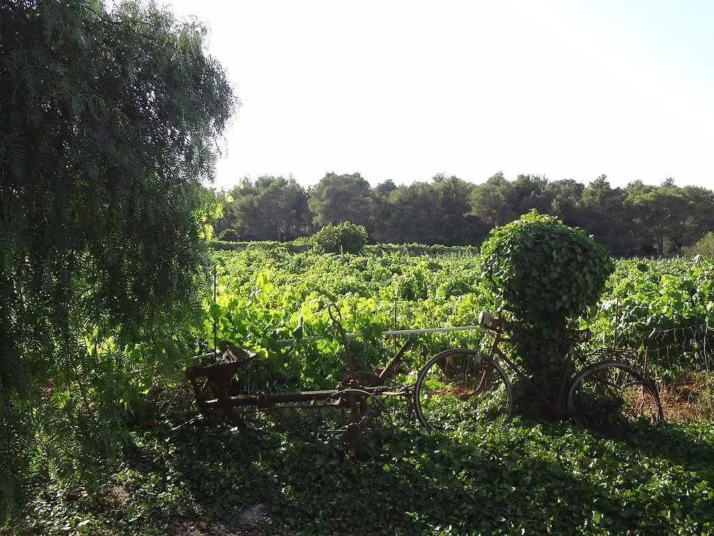 Sa Vinya D'En Palerm Hotel Sant Miquel De Balansat Spain