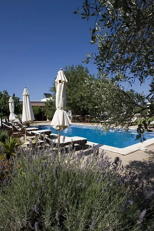 Sa Vinya D'En Palerm Hotel Sant Miquel De Balansat Farm stay