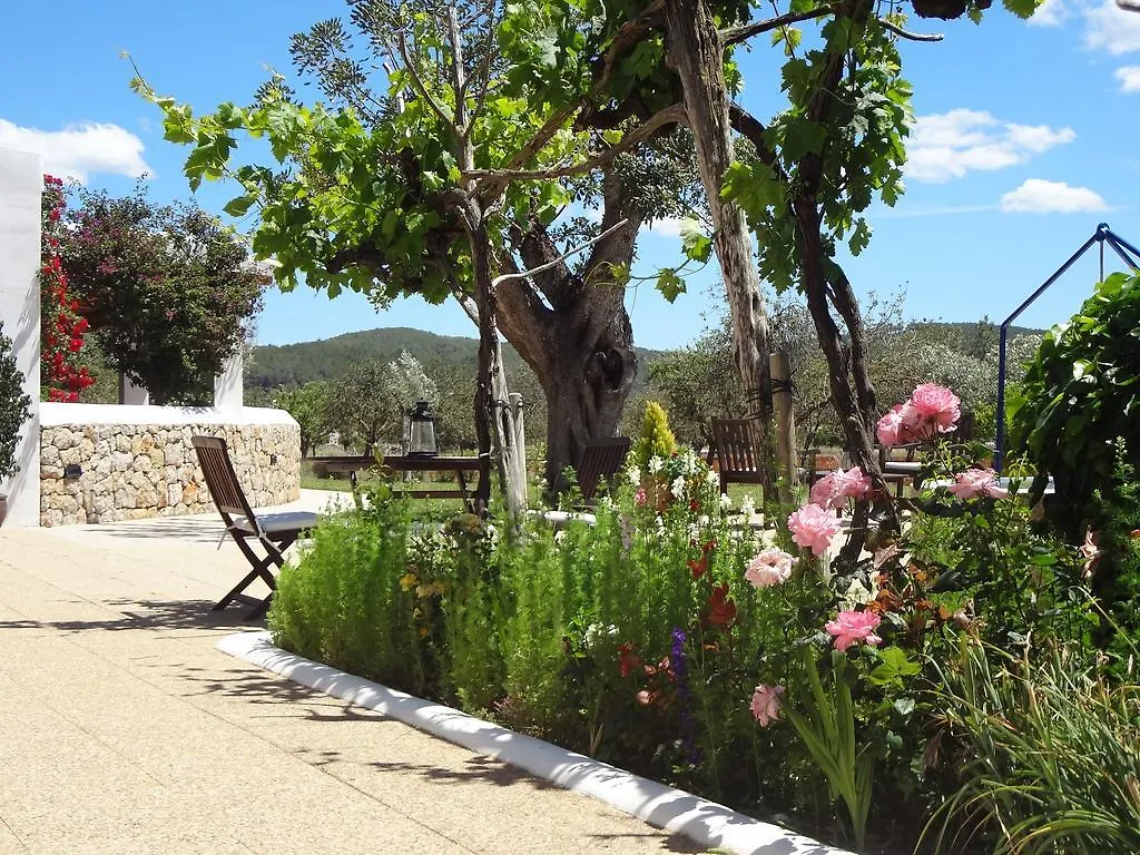Farm stay Sa Vinya D'En Palerm Hotel Sant Miquel De Balansat Spain