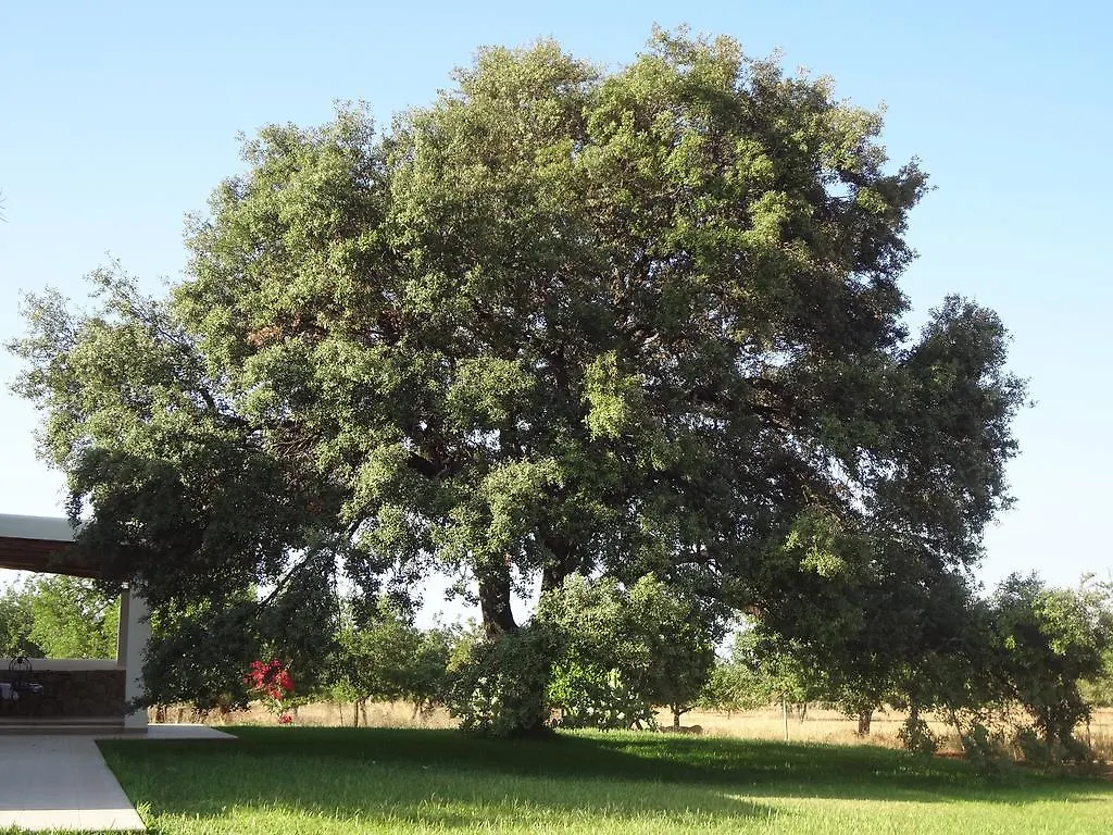 Sa Vinya D'En Palerm Hotel Sant Miquel De Balansat