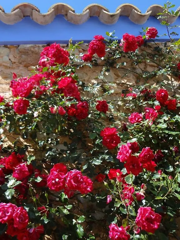 Farm stay Sa Vinya D'En Palerm Hotel Sant Miquel De Balansat Spain