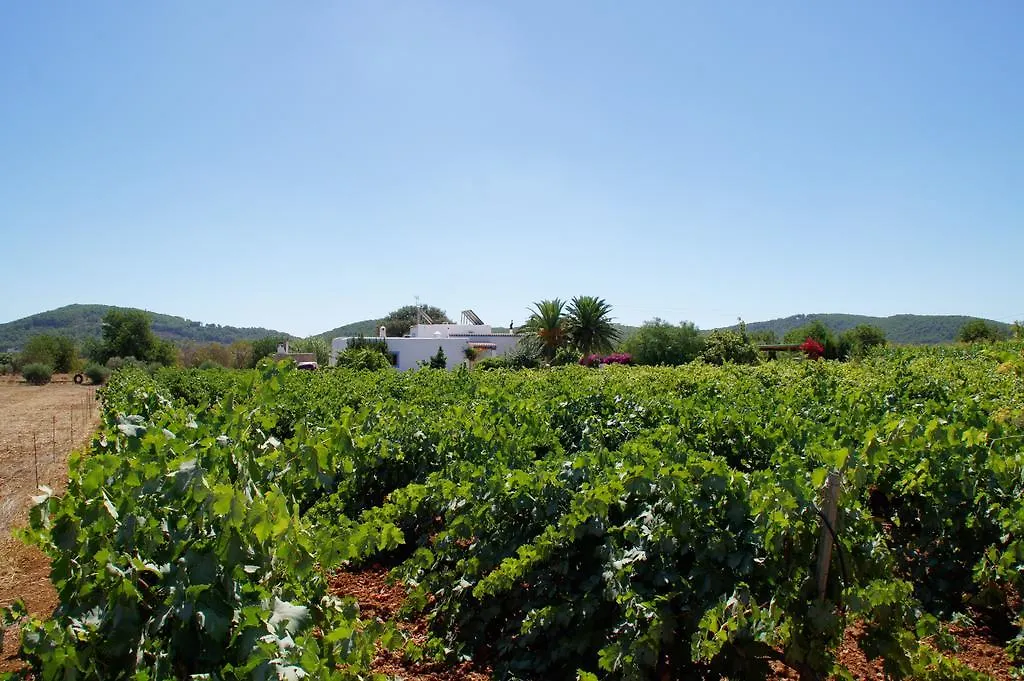 Sa Vinya D'En Palerm Hotel Sant Miquel De Balansat 0*,