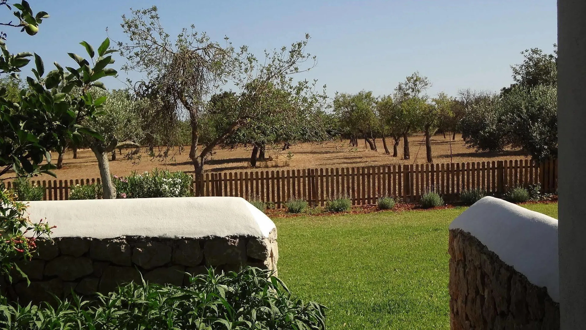 Sa Vinya D'En Palerm Hotel Sant Miquel De Balansat Farm stay