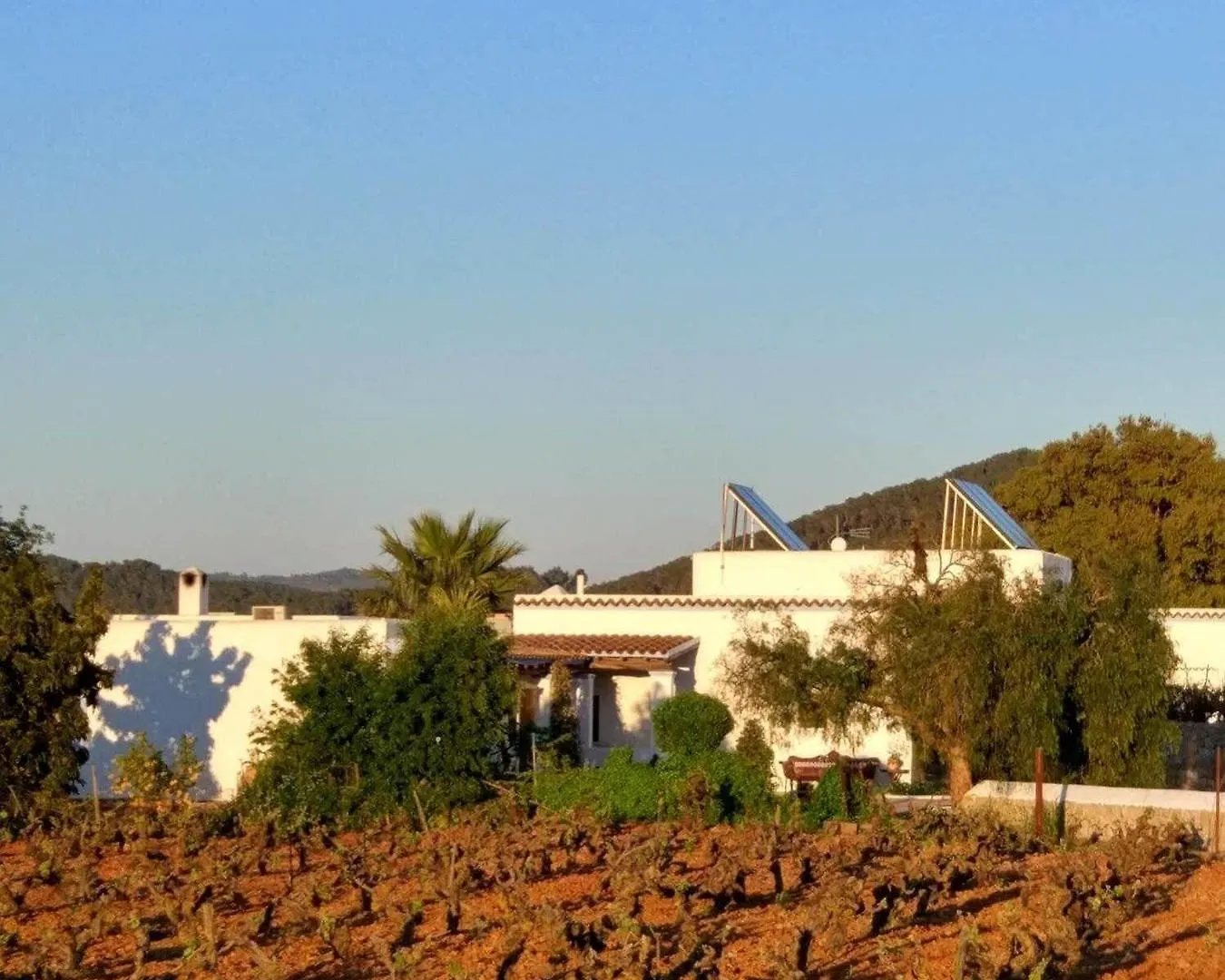 Sa Vinya D'En Palerm Hotel Sant Miquel De Balansat 0*,