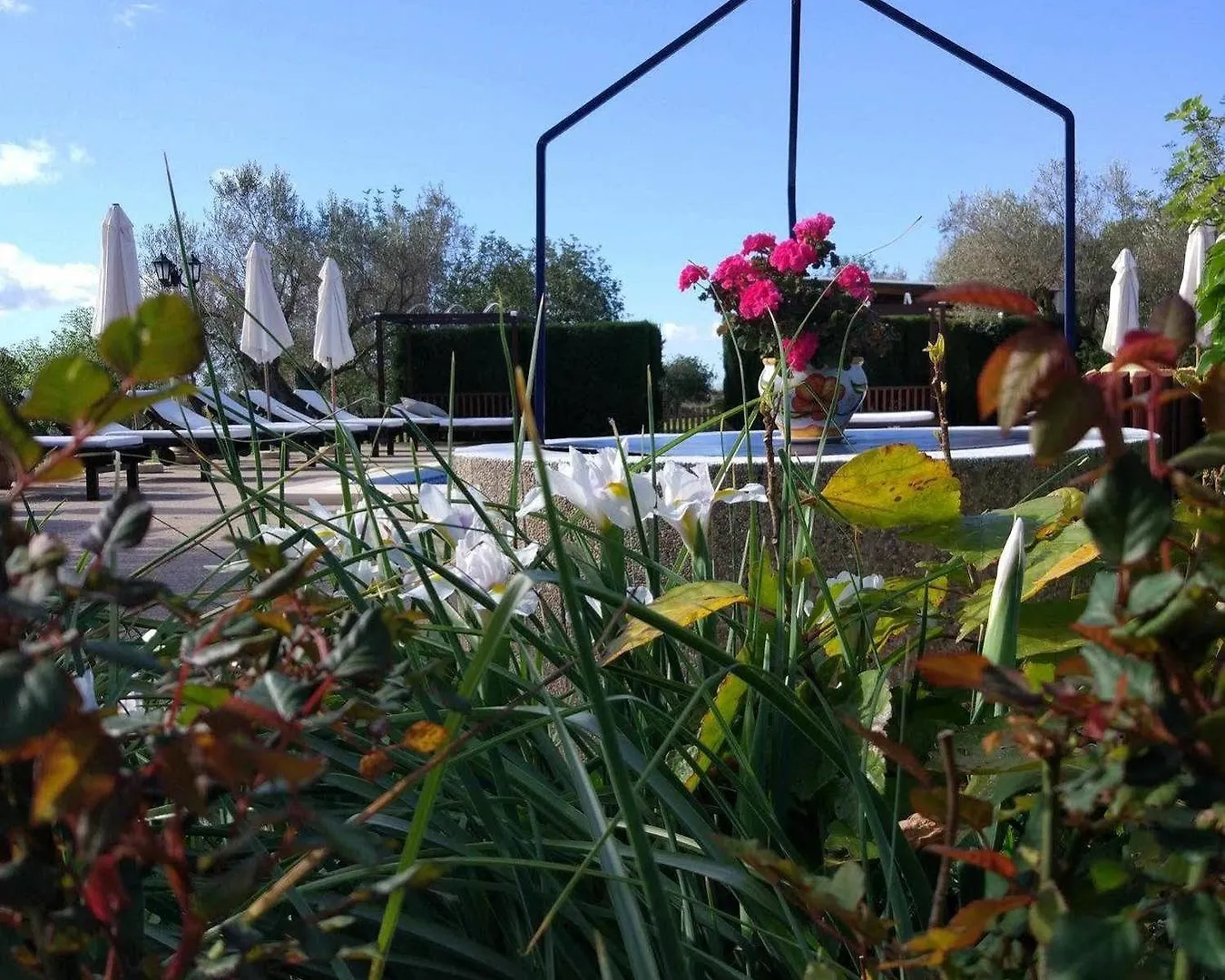 Sa Vinya D'En Palerm Hotel Sant Miquel De Balansat Farm stay