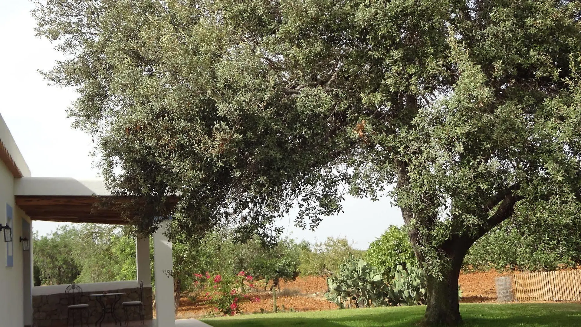 Sa Vinya D'En Palerm Hotel Sant Miquel De Balansat Spain