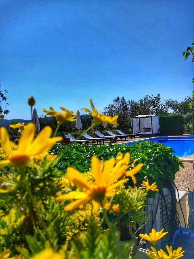 Farm stay Sa Vinya D'En Palerm Hotel Sant Miquel De Balansat Spain