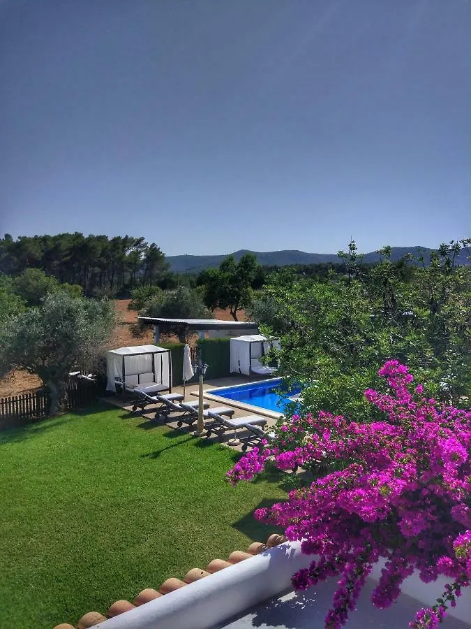 Sa Vinya D'En Palerm Hotel Sant Miquel De Balansat 0*,